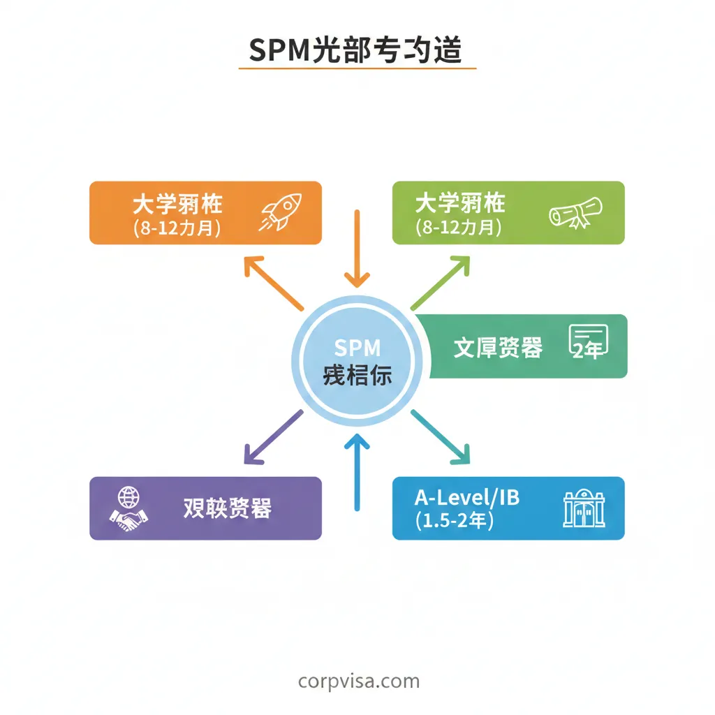 设计一个信息图表(Infographic),可视化文章第2节的SPM升学途径。图表中心是'SPM 成绩单',四条放射状箭头分别指向:'大学预科(Foundation, 8-12个月)'、'文凭课程(Diploma, 2年)'、'A-Level/IB(1.5-2年)'和'双联课程(Twinning Program)'。每条路径旁配有一个小的标志性图标(例如:预科是一个火箭图标代表快速,A-Level是常春藤校门代表顶尖)。整体采用现代扁平化设计,色彩区分四条路径,使路径对比清晰易懂。